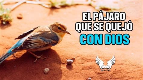 EL PÁJARO QUE SE QUEJÓ CON DIOS Reflexiones de la vida Soy De Dios