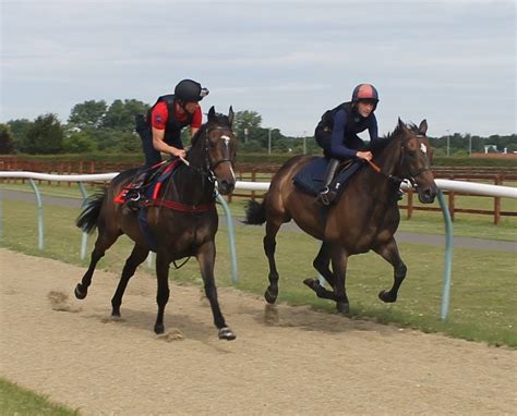 The British Racing School; What is it all about? - Newmarket Open Weekend