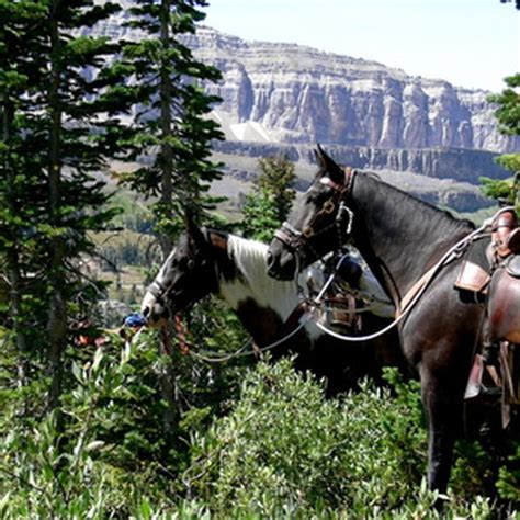 Wyoming Dude Ranch Vacations | USA Today