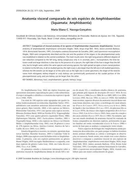 (PDF) Comparison of visceral anatomy of six species of Amphisbaenidae (Squamata: Amphisbaenia)