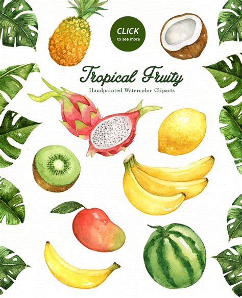 Tropical Fruity Watercolor Clipart Watercolor Fruit Fruits And