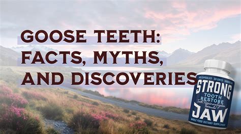 Uncovering Goose Teeth: Facts, Myths, and Surprising Discoveries ...