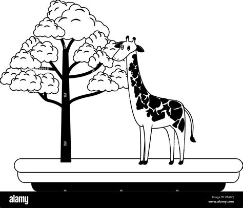 Giraffe wild animal in black and white Stock Vector Image & Art - Alamy