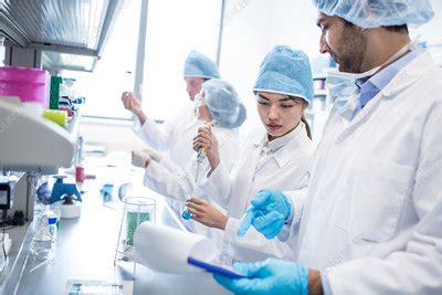 Scientists Working In Lab Stock Image F020 3391 Science Photo Library