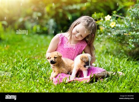 Kids play with cute little puppy. Children and baby dogs playing in sunny summer garden. Little ...