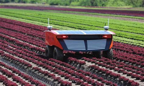 Robotics in Agriculture: Advantages and disadvantages [Updated]