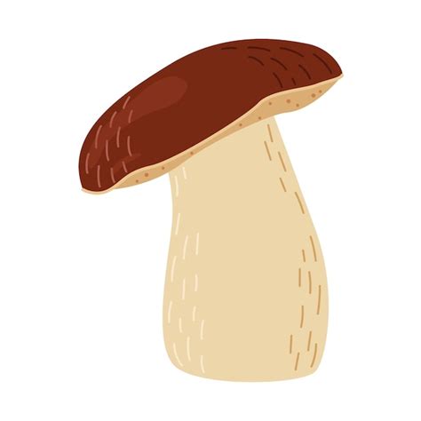 Premium Vector Boletus Edulis Forest Mushroom Hand Drawn Porcini