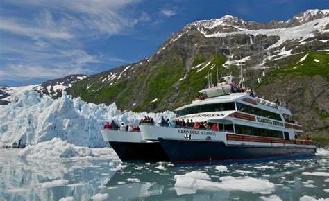 Denali Glacier Tour, Alaska Vacation; Wildlife, Glacier Cruises