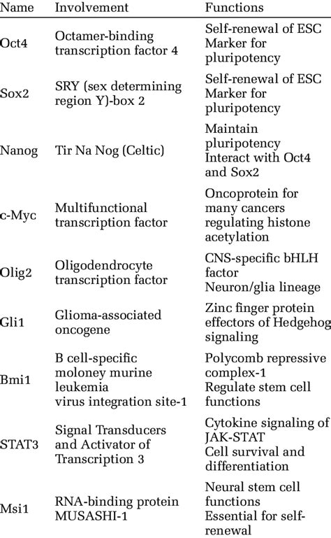 Transcription Factors Enriched In Glioma Stem Cells Download Table