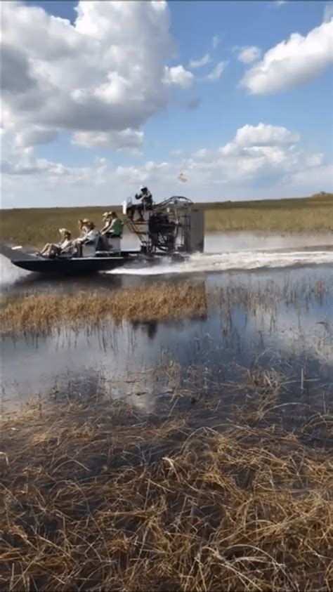 everglades airboat tours - Airboat In Everglades