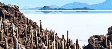 Salar De Uyuni Tour