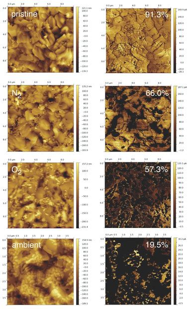 Afm Images Left Column And C Afm Images At V V Right Column