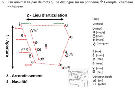 Cours Niveaux Danalyse Notions De Base Concepts Et Langage