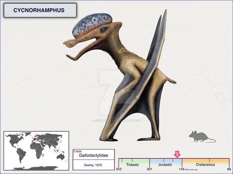 Cycnorhamphus By Cisiopurple On Deviantart