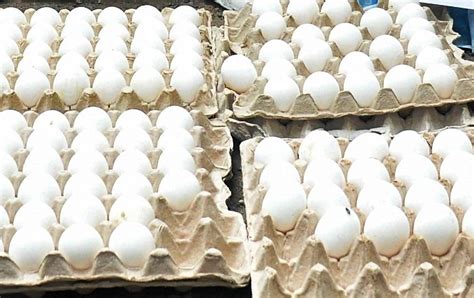 Sri Lanka To Import Over 92mn Eggs From India