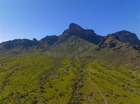 Picacho Peak State Park Arizona Usa Stock Photo Image Of American