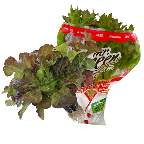 Продукция Green Eco
