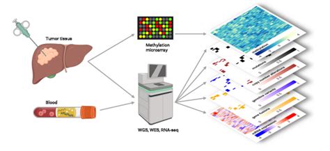 DKFZ NCT DKTK MASTER Program Handbook On The Use Of Genomic Data In