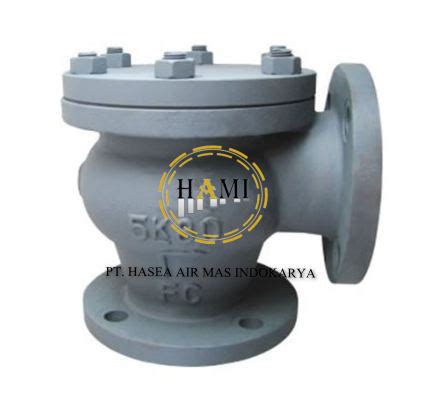 Jual Lift Check Angle Valve Cast Iron Jis K A A Pt Hasea Air