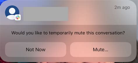 How Can You Disable Would You Like To Temporarily Mute This