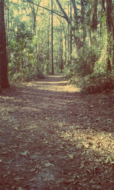 San Luis Park In Tallahassee Fl Country Roads Tallahassee Park