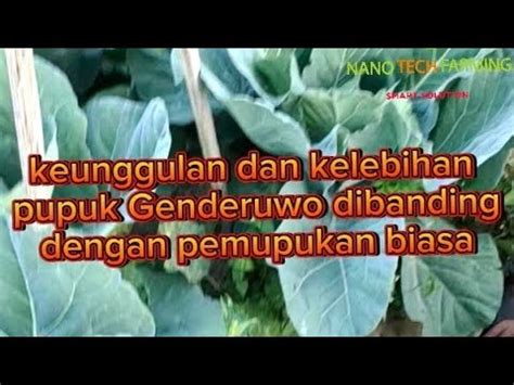 Keunggulan Dan Kelebihan Pupuk Genderuwo Dibanding Dengan Pemupukan