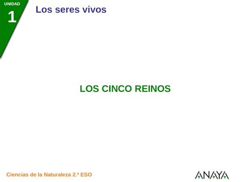 PPTX El reino es el taxón más amplio de la clasificación de los seres