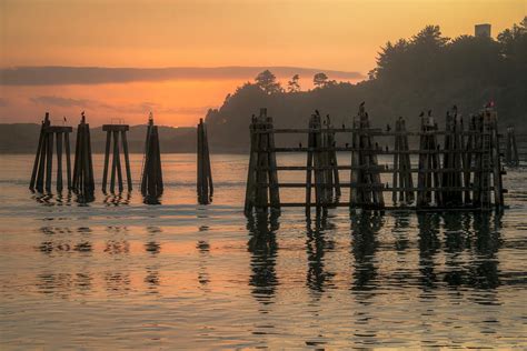 Evening Reflections Photograph By Kristina Rinell Fine Art America