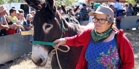 Burro De Miranda Tem Cada Vez Mais Criadores Jovens Jornal Nordeste