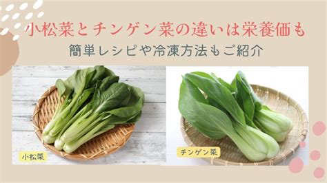 小松菜とチンゲン菜の違いは栄養価と食感 簡単レシピと冷凍方法もご紹介 くらしのあいことば