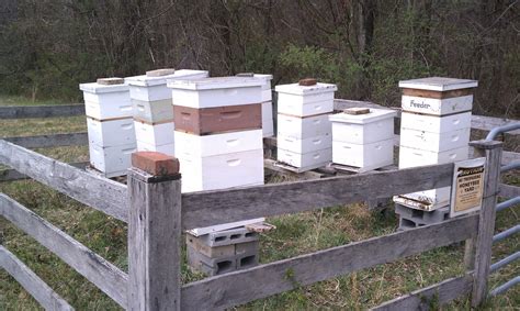 bee hives (3) - Cedar Ridge Community Church