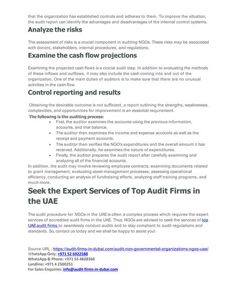 Audit For Non Governmental Organizations Ngos In The Uae Pdf