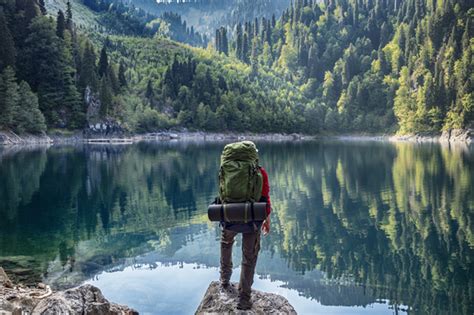 fun summer activities everyday owl