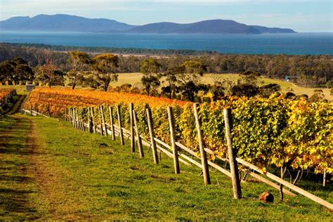 10 Absolutely Stunning Images Of Australias Wine Country Drink Me