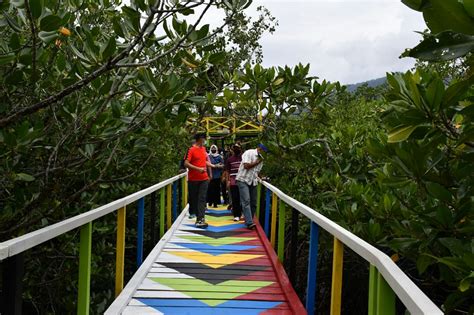 Wajah Baru Hutan Mangrove Desa Matansala Morowali Brita Id