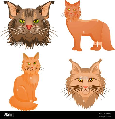 Maine Coon Icons Set Cartoon Set Of Maine Coon Vector Icons For Web