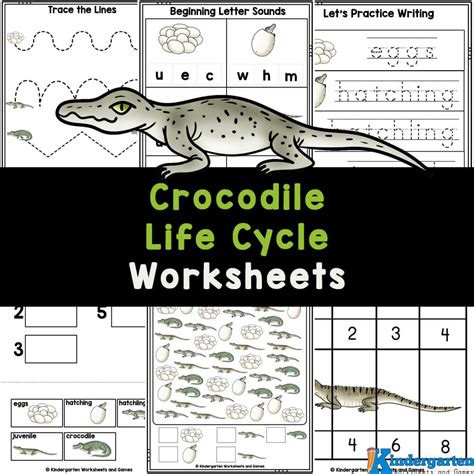 Science Archives Kindergarten Worksheets And Games