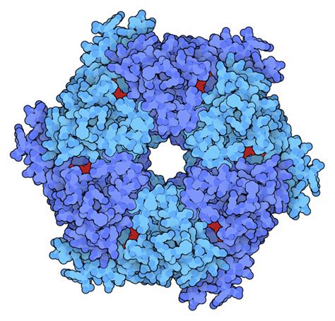 PDB 101 Molecule Of The Month SNARE Proteins