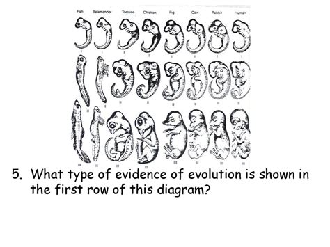 Quest Checks Evolution Sda Ppt Download