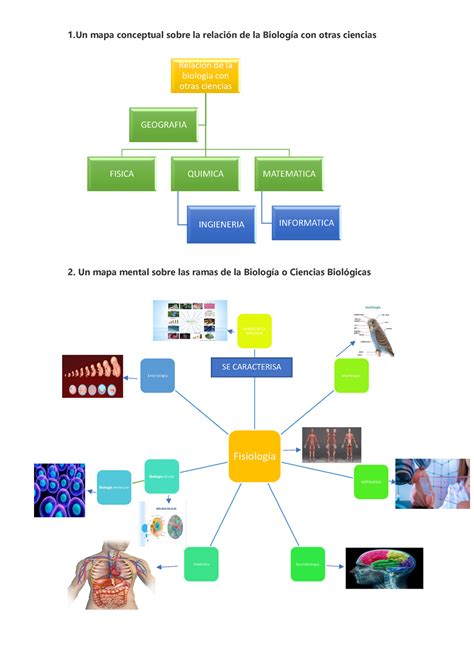 Tarea DE Biologia completa 1 mapa conceptual sobre la relaciÛn de la