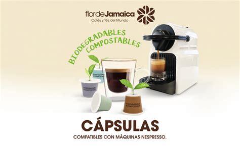 C Psulas Compostables Biodegradables Flor De Jamaica