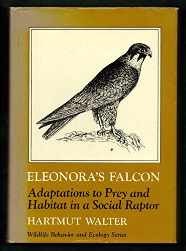 Eleonora's Falcon : Adaptations to Prey and Habitat in a Social Raptor by Walter, Harmut: Very ...