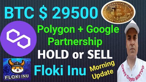 Btc 29500 Polygon Matic Hold Or Sell Floki Inu Update Crazy