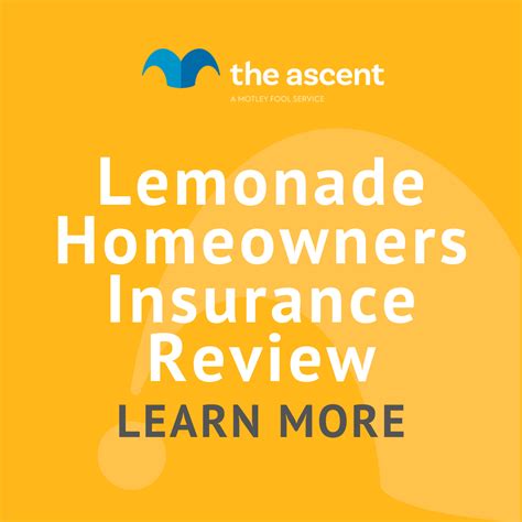 Lemonade Homeowners Insurance Review The Motley Fool