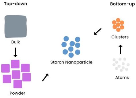 Polymers Free Full Text A Comprehensive Study On Starch