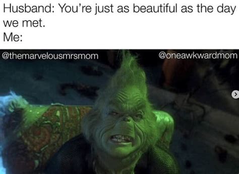 40 Grinch Memes Because We Are All Closer to the Grinch Than Santa