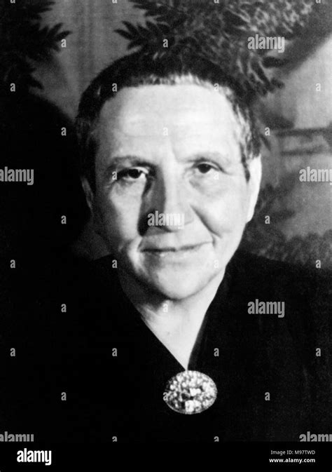 Gertrude Stein 1874 1946 Portrait Der Amerikanische Schriftsteller