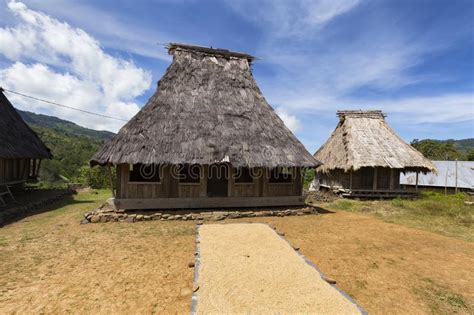 Arroz De Secagem E Casas Tradicionais Foto De Stock Imagem De Duro