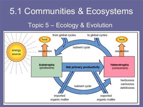 5.1 communities & ecosystems