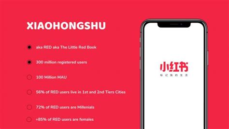 Guide To Xiaohongshu App for Business - SEO China Agency